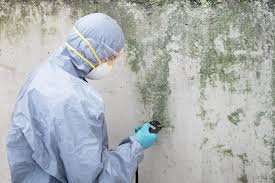 Best Commercial Mold Inspection  in Berlin, MD